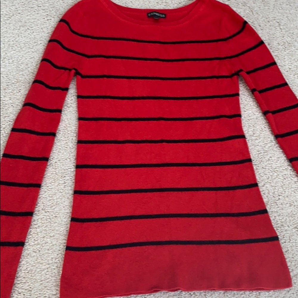 Express Red sweater